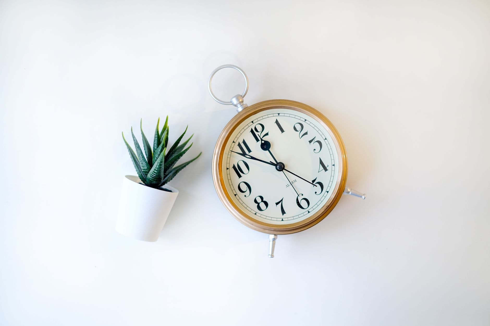A stylish composition of a gold clock and a small potted plant on a white background.